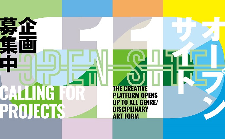 thumbnail of OPEN SITE 11