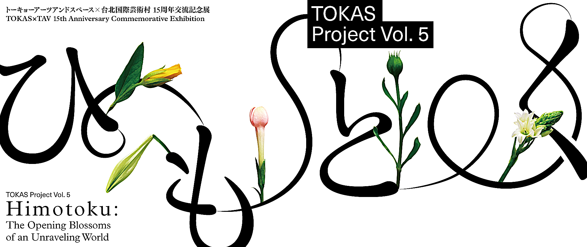 TOKAS Project Vol. 5
