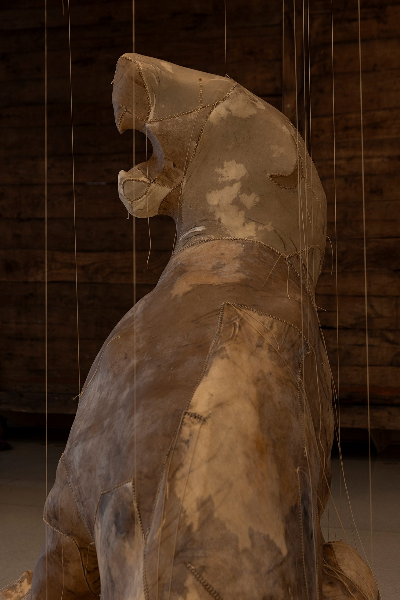 Image of Vajiko CHACHKHIANI