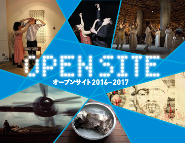 thumbnail of Project A - OPEN SITE 2016-2017