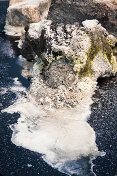 大和田 俊「Paleo-Pacific」のサムネイル画像