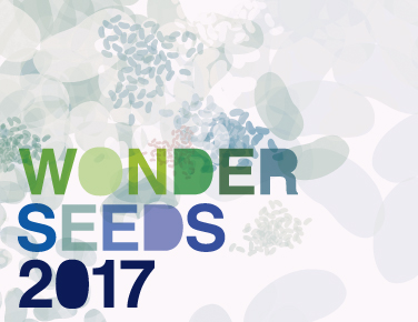ワンダーシード2017のサムネイル画像