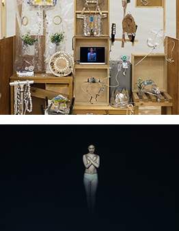 トーキョーワンダーウォール都庁2015｜立体・映像・インスタレーション部門受賞作品展｜片貝葉月・桜間級子のサムネイル画像