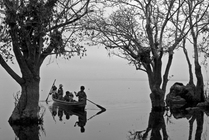 Image of Htin Aung