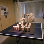 Image of Sophon PHE