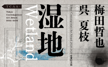 thumbnail of Tokyo Contemporary Art Award 2024-2026 Exhibition “Wetland”