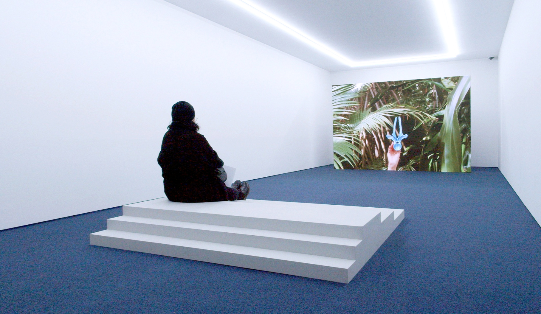 Image of Karolina GRZYWNOWICZ