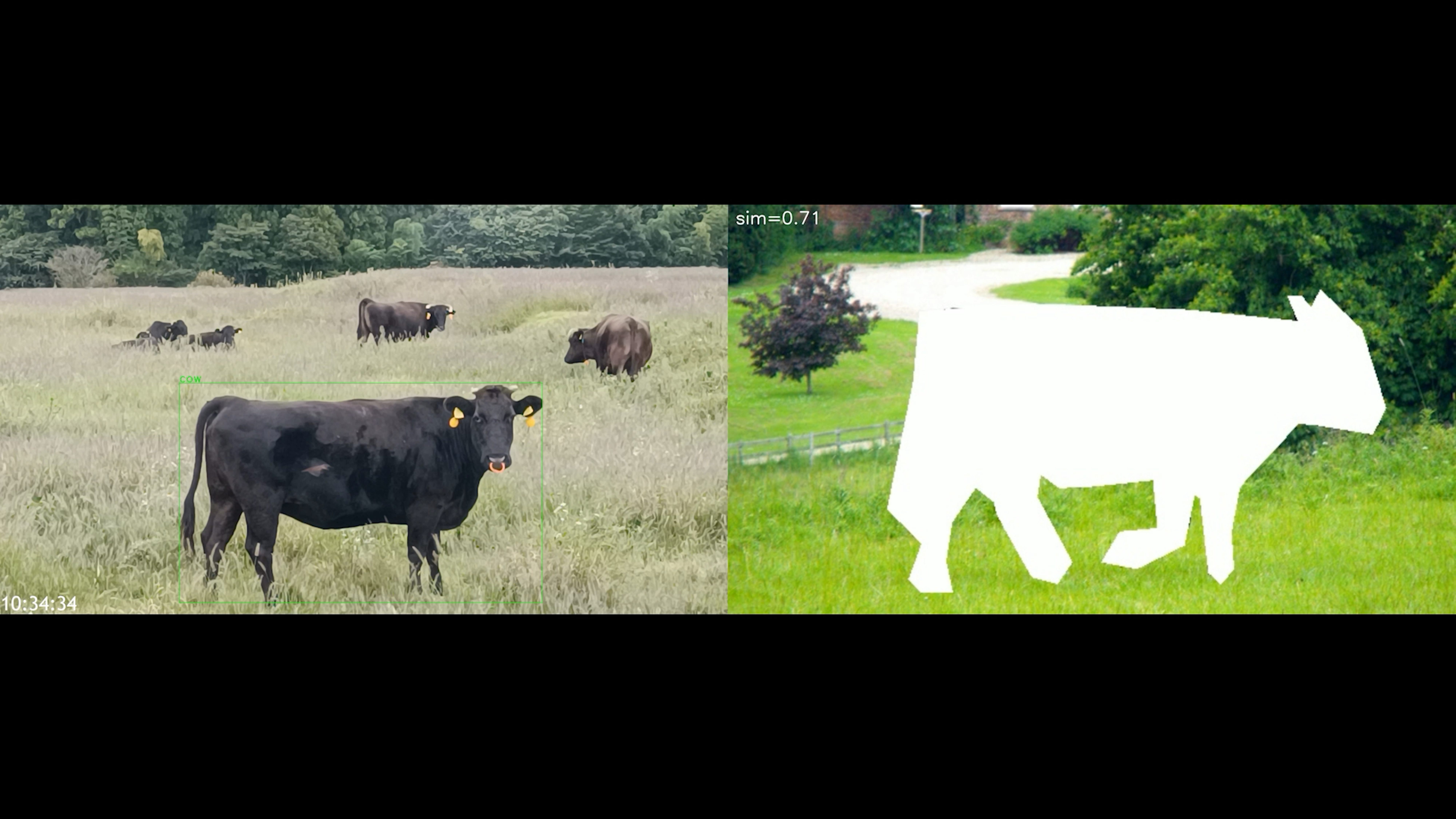  Image of  OKA Miyuki