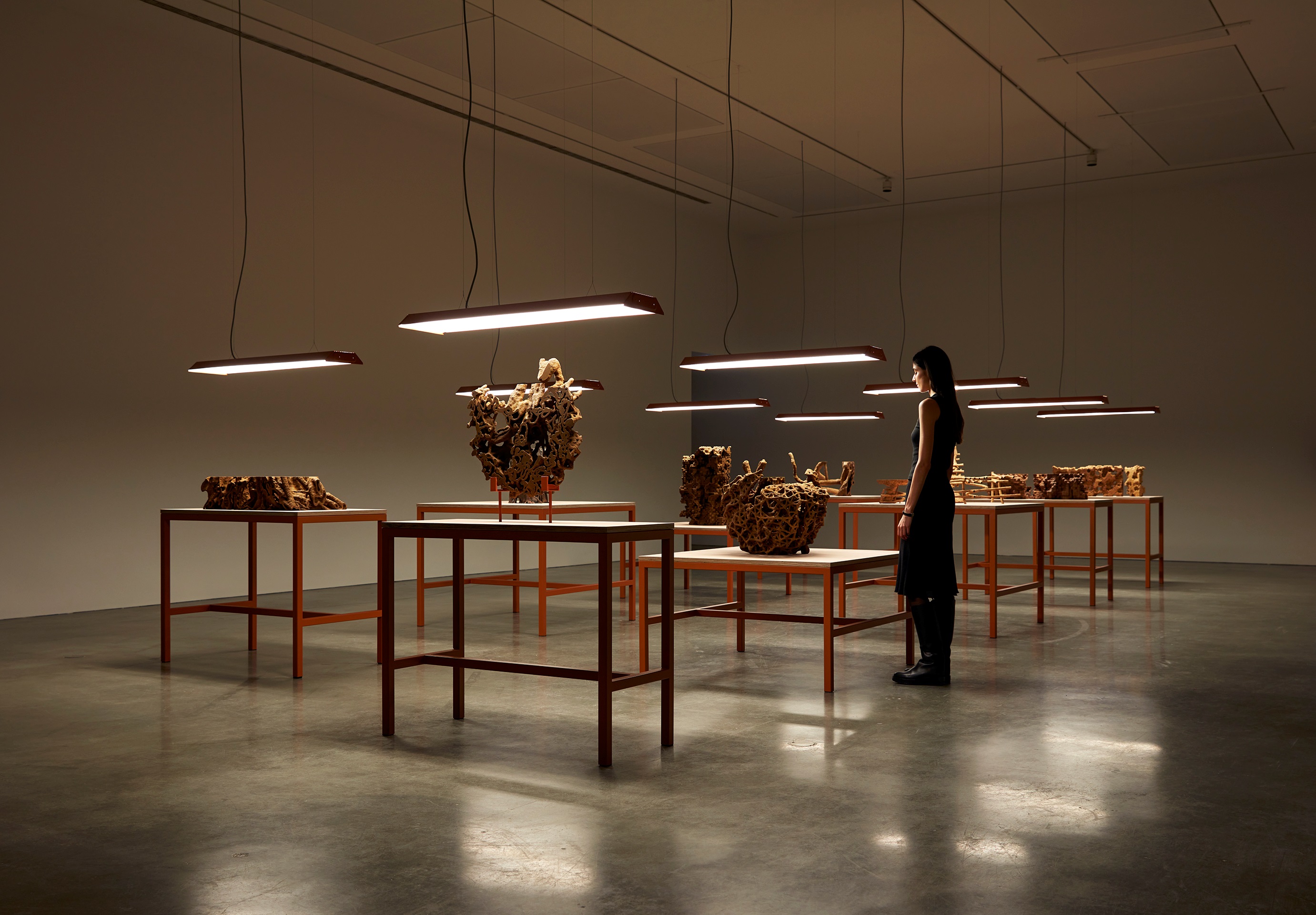  Image of  Anna DAVIS